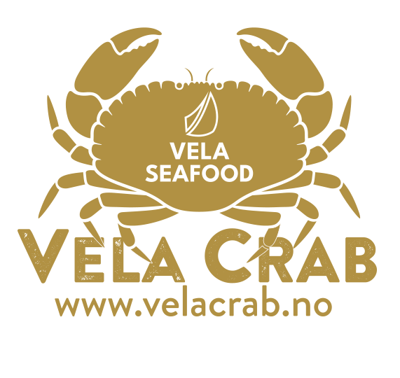 6401f6f84de34f94b2511ed7_VelaCrab